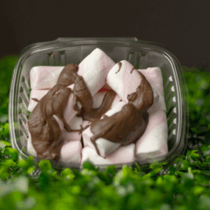 Masmelos con Chocolate